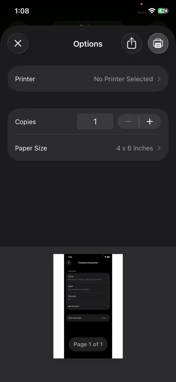 iPhone Print Options screen with Copies and Paper Size set to 4 x 6 inches