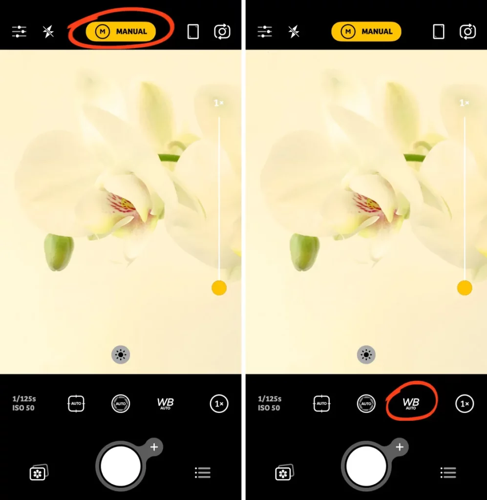 Methods to Change Shutter Speed on iPhone