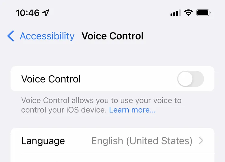 How to use the Voice Control feature on your iPhone