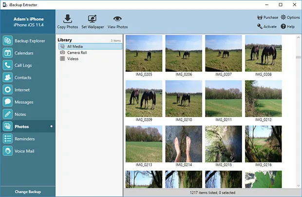 The Unfortunate Deleted Photos Recovery Understanding the Basics The Unfortunate Deleted Photos Recovery Understanding the Basics